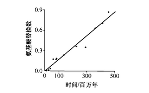 进化分子钟.png